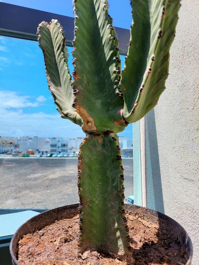 Deep Blue Cotillo III By Sea You There Fuerteventura Apartment Exterior foto